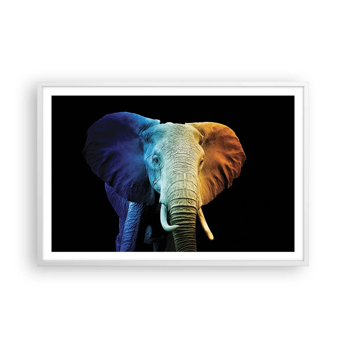 Affiche dans un cadre blanc - Poster - Excentrique, pas bizarre - 91x61 cm