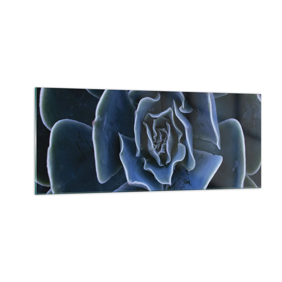 Impression sur verre - Image sur verre - Fleur du désert - 100x40 cm