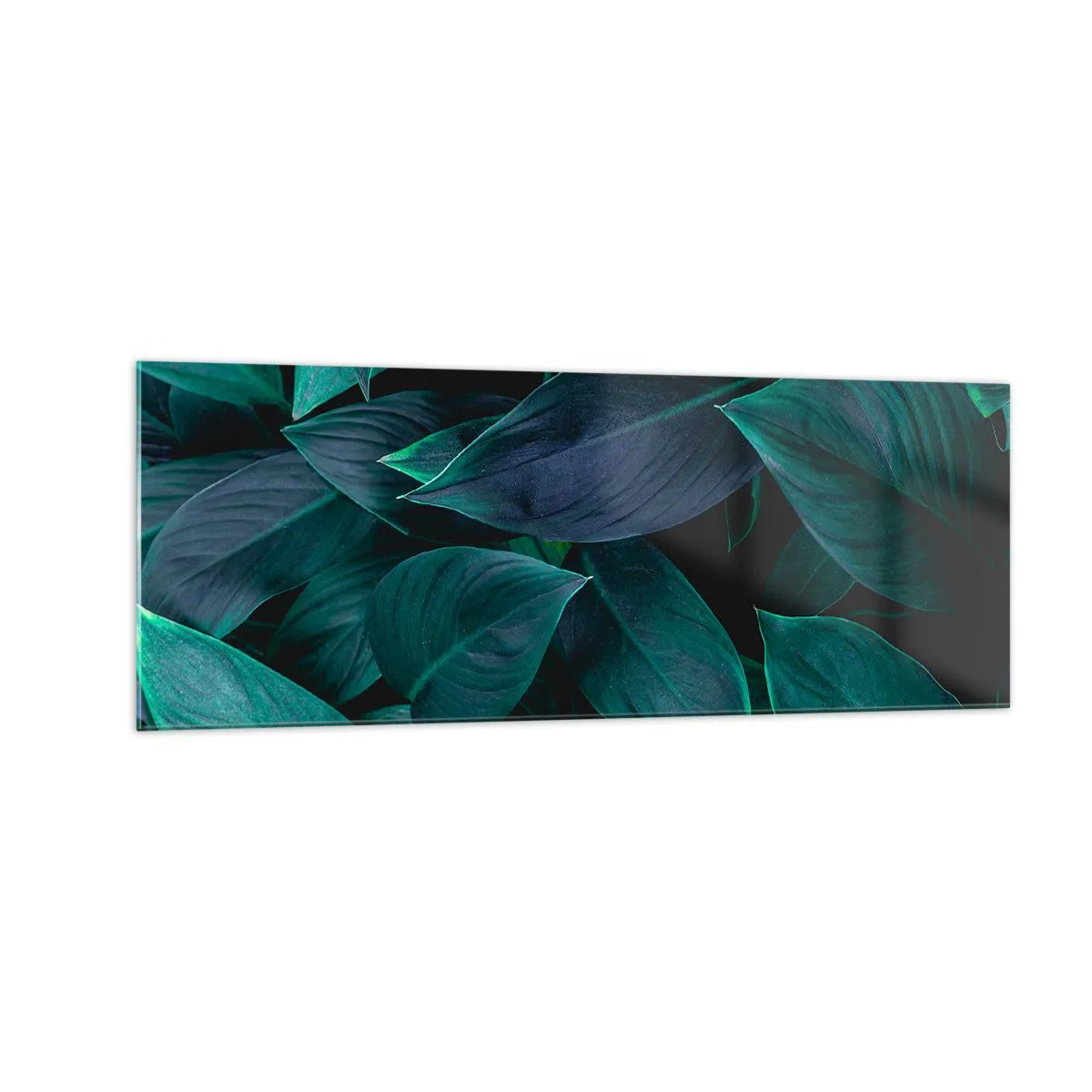 Impression sur verre - Image sur verre - Gros plan de feuilles vertes sur fond sombre - 140x50cm - le vert lui-même - Décoration murale moderne pour le salon et la chambre ARTTOR