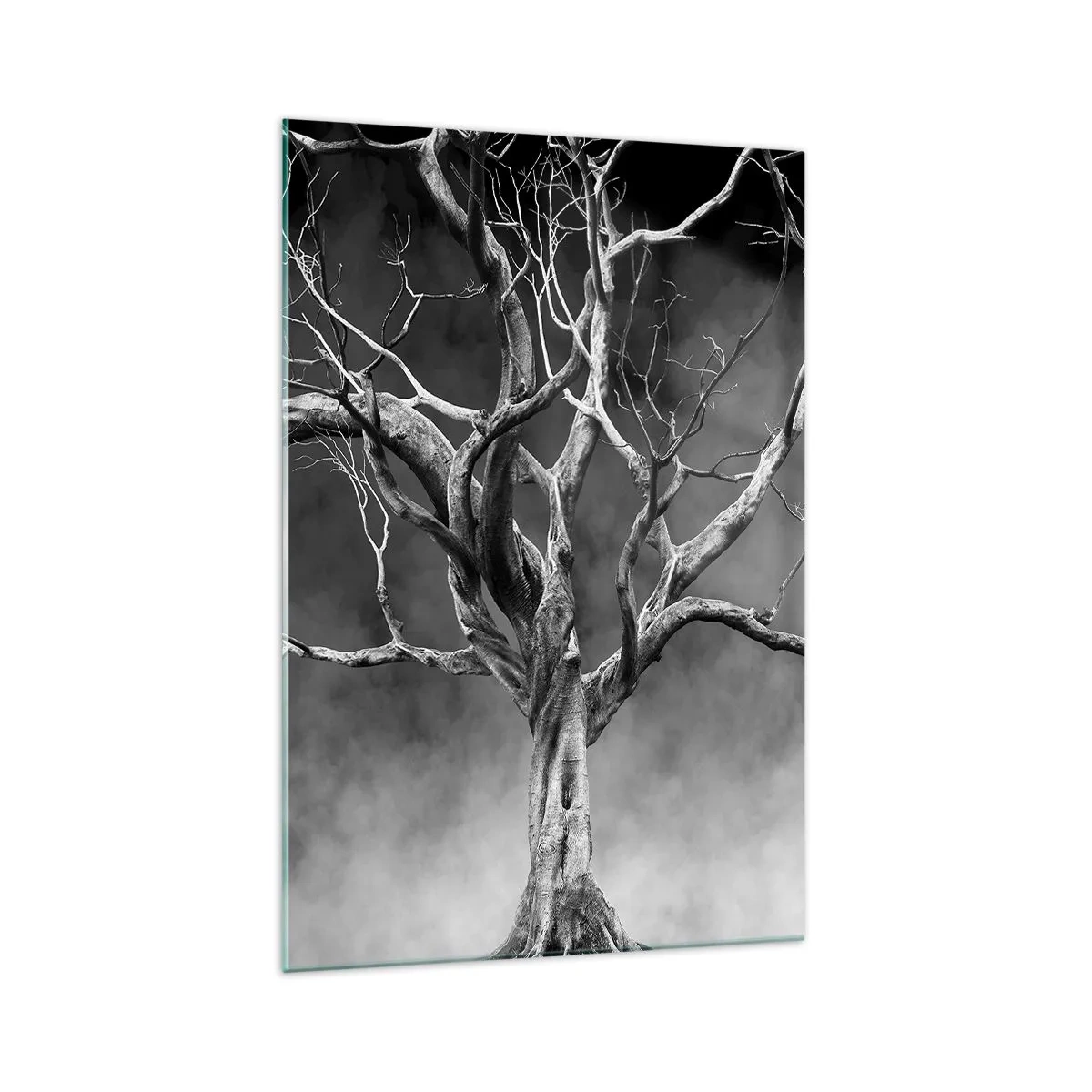 Impression sur verre - Image sur verre - Un arbre sec en noir et blanc contre le brouillard - 70x100cm - Primordial et sacré - Décoration murale moderne pour le salon et la chambre ARTTOR