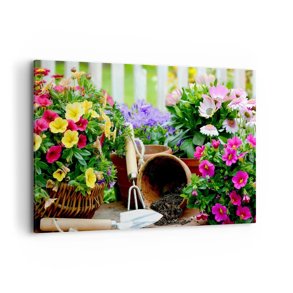 Impression sur toile - Image sur toile - Fleurs colorées dans des pots avec des outils de jardinage sur la table - 120x80cm - Le jardin de Zosia - Décoration murale moderne pour le salon et la chambre ARTTOR