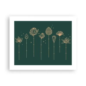 Affiche - Poster - La famille Plante - 50x40 cm