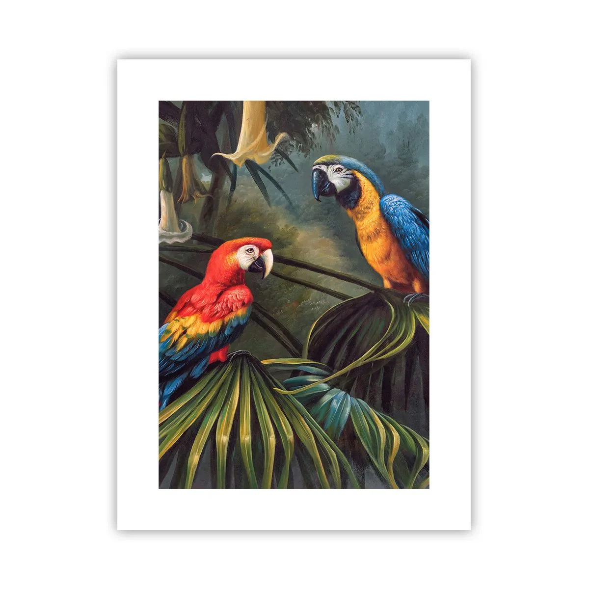 Affiche - Poster - Romantisme dans les tropiques - 30x40 cm