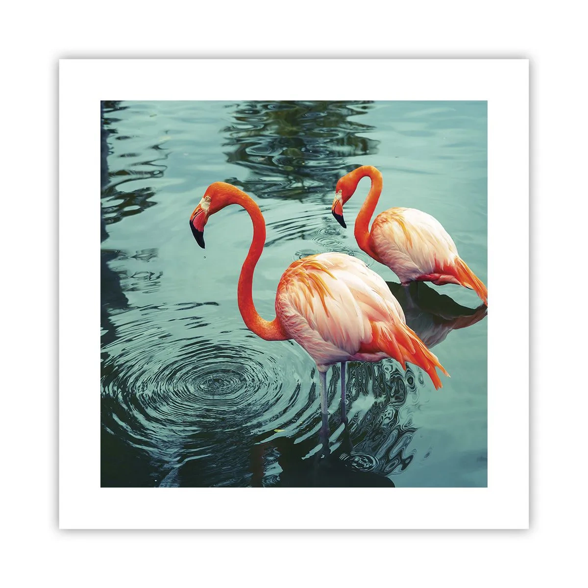 Affiche - Poster - Nous sommes à la mode maintenant - 40x40 cm