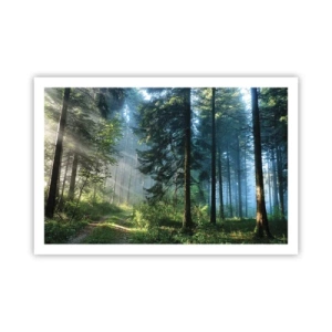 Affiche - Poster - Rayonnant le matin - 91x61 cm