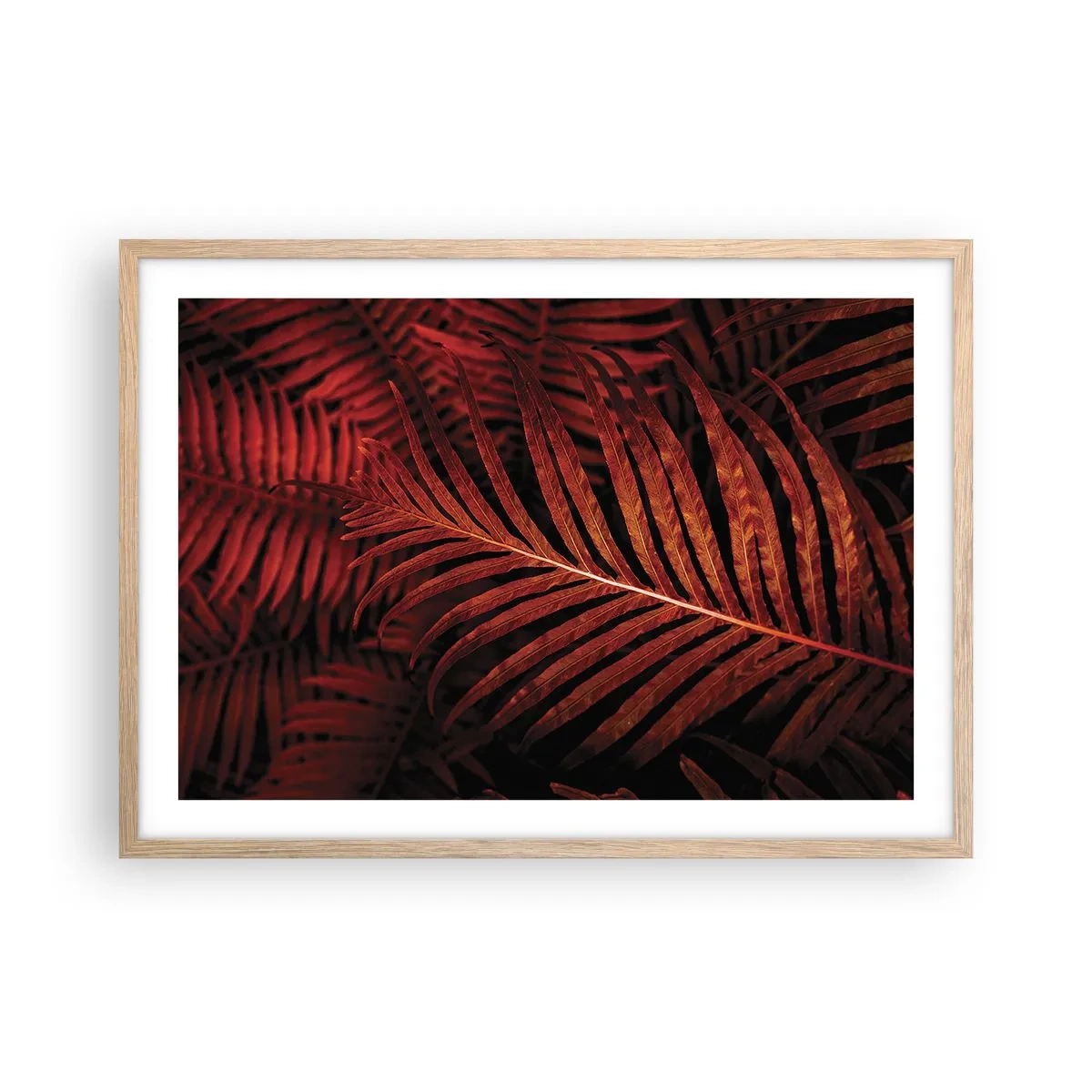 Affiche dans un chêne clair - Poster - Chaleur de la vie - 70x50 cm