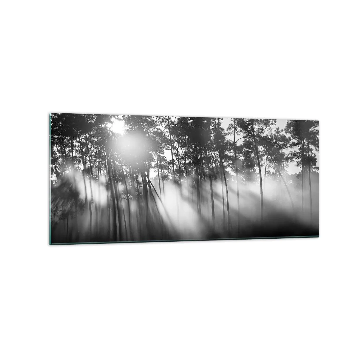 Impression sur verre - Image sur verre - Forêt noire et blanche dans le brouillard du matin - 120x50cm - Soleil inarrêtable - Décoration murale moderne pour le salon et la chambre ARTTOR