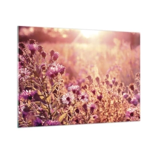 Impression sur verre - Image sur verre - Fleurs violettes dans la prairie à la lumière du soleil couchant - 100x70cm - Avant que l'été ne parte - Décoration murale moderne pour le salon et la chambre ARTTOR