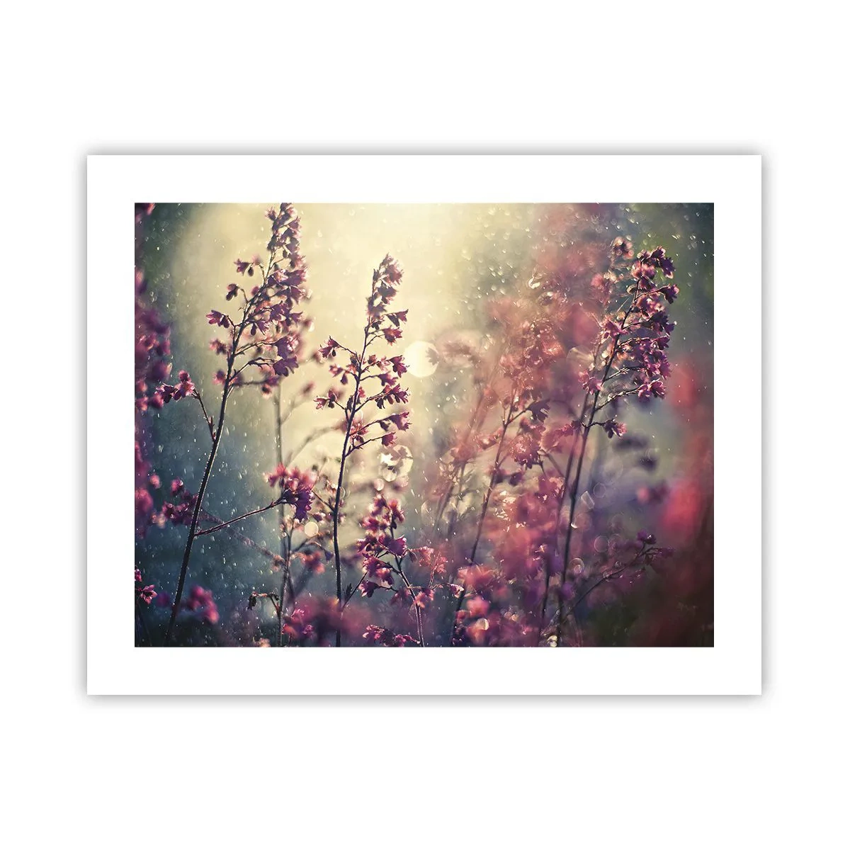 Affiche - Poster - Jardin secret - 50x40 cm