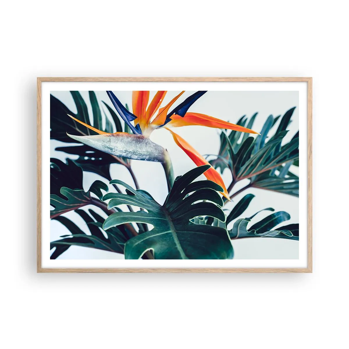 Affiche dans un chêne clair - Poster - Le buisson oiseaux - 100x70 cm