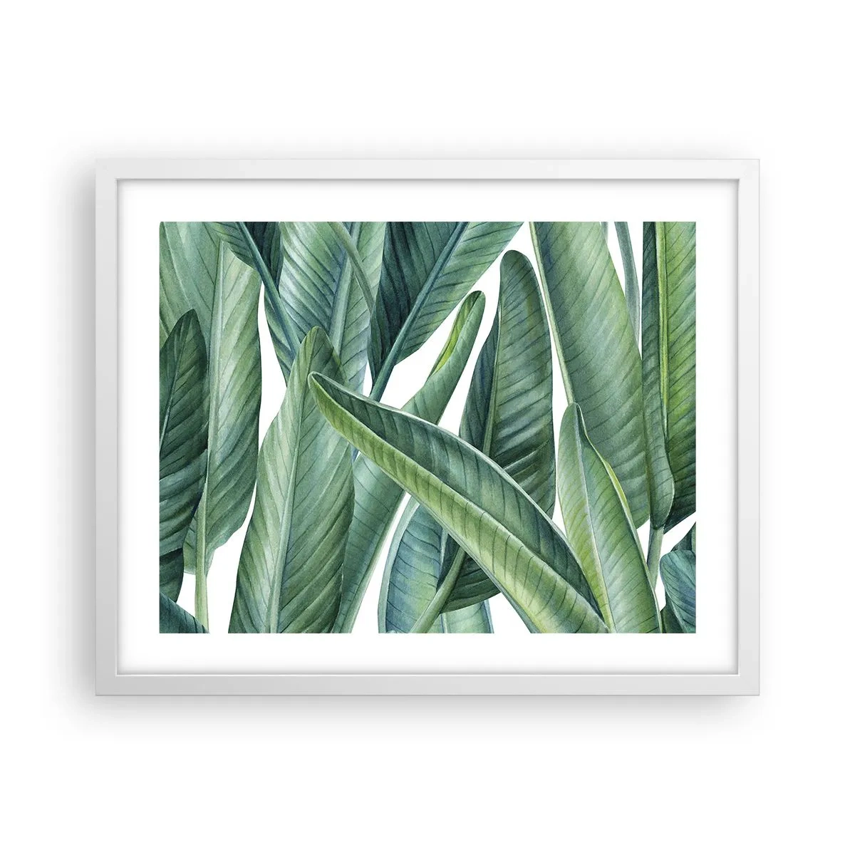 Affiche dans un cadre blanc - Poster - La nature face à elle-même - 50x40 cm