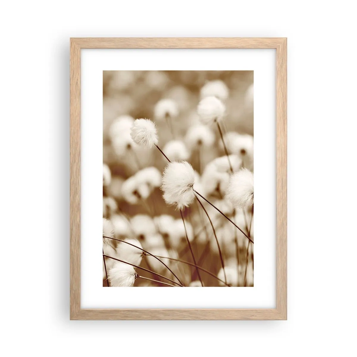 Affiche dans un chêne clair - Poster - Tige moelleuse - 30x40 cm