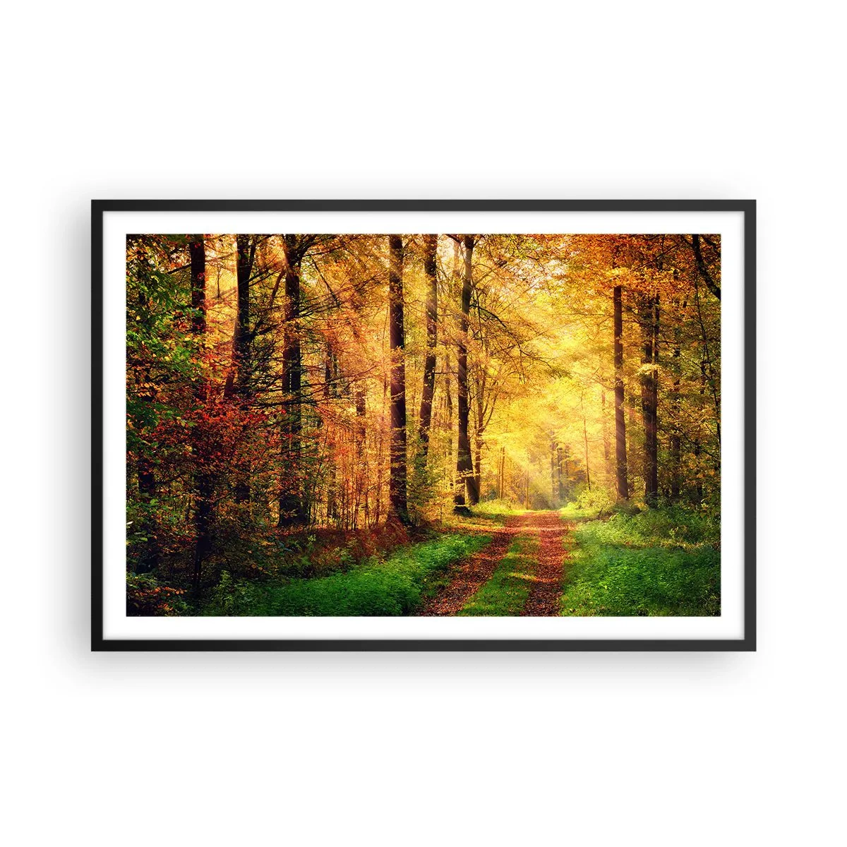 Affiche dans un cadre noir - Poster - Silence d'or en forêt - 91x61 cm