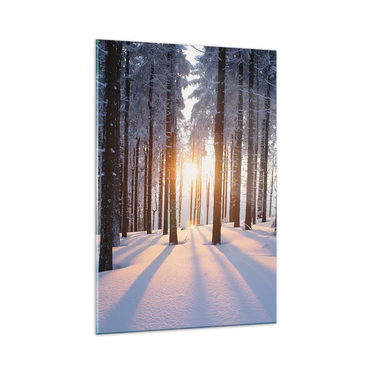 Impression sur verre - Image sur verre - Forêt d'hiver illuminée par les rayons du soleil - 80x120cm - Clairement en noir et blanc - Décoration murale moderne pour le salon et la chambre ARTTOR