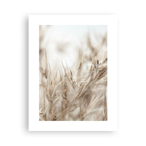 Affiche - Poster - Prairie et vent - 30x40 cm