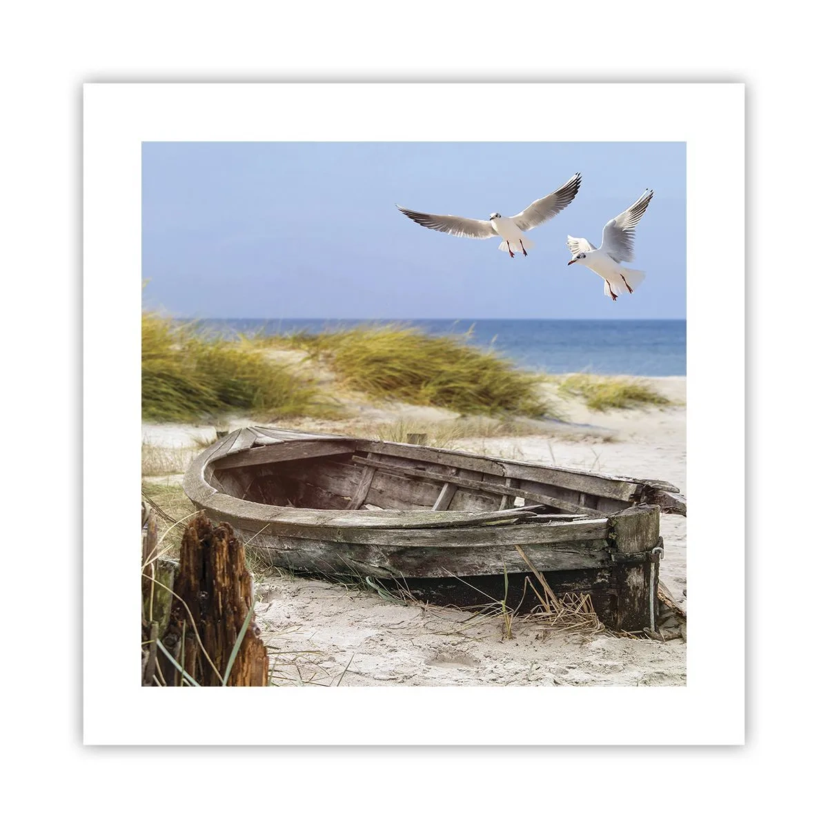 Affiche - Poster - Bain de vent - 40x40 cm