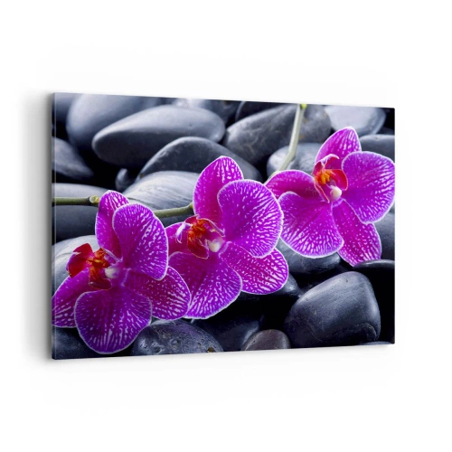 Impression sur toile - Image sur toile - Orchidées violettes sur fond de pierres noires - 100x70cm - Les pierres brillaient de joie - Décoration murale moderne pour le salon et la chambre ARTTOR