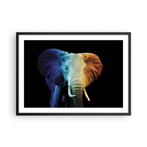 Affiche dans un cadre noir - Poster - Portrait d'éléphant aux couleurs de l'arc-en-ciel - 70x50cm - Excentrique, pas bizarre - Décoration murale moderne pour le salon et la chambre ARTTOR