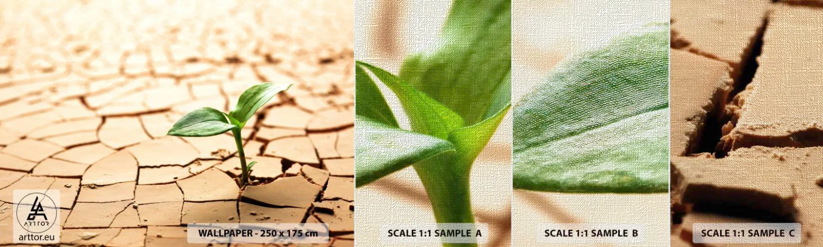 Échantillon de Papier Peint Premium Canvas - La force indomptable de la vie - Nature, Usine, Sécheresse - 100x30 cm