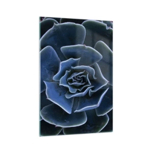 Impression sur verre - Image sur verre - Gros plan d'une rosette succulente verte - 70x100cm - Fleur du désert - Décoration murale moderne pour le salon et la chambre ARTTOR