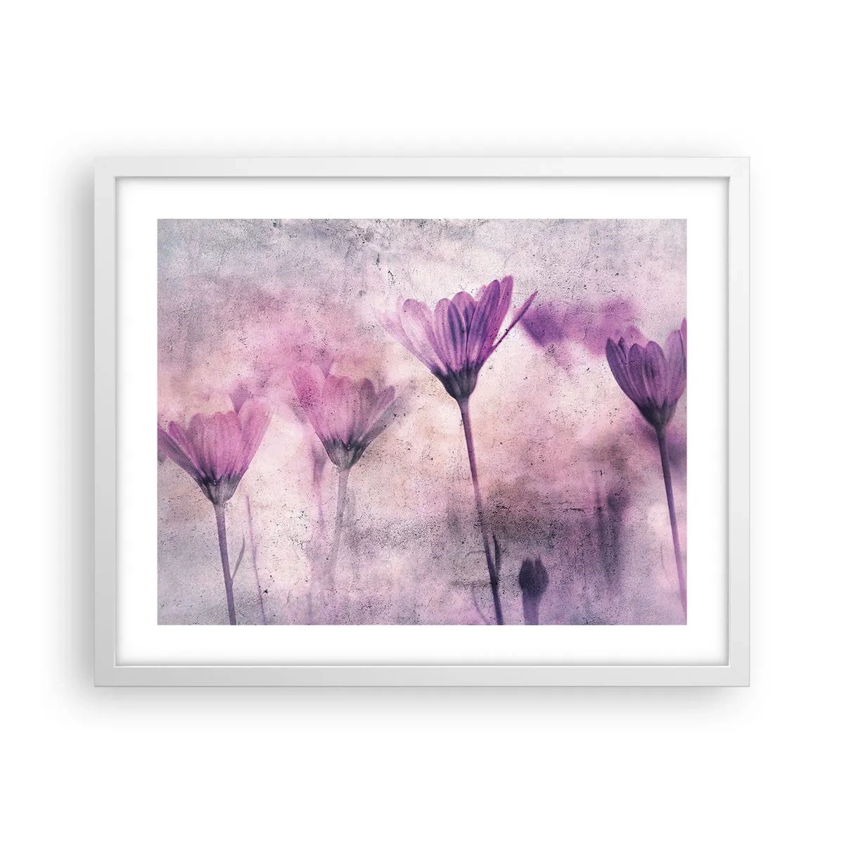 Affiche dans un cadre blanc - Poster - Rêve de fleurs - 50x40 cm