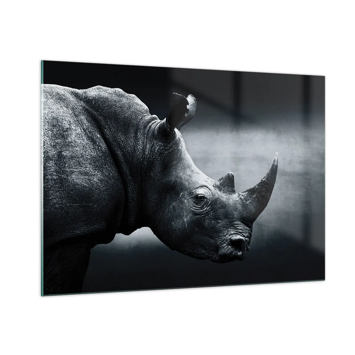 Impression sur verre - Image sur verre - Photographie en noir et blanc d'un rhinocéros - 100x70cm - Le profil droit - Décoration murale moderne pour le salon et la chambre ARTTOR