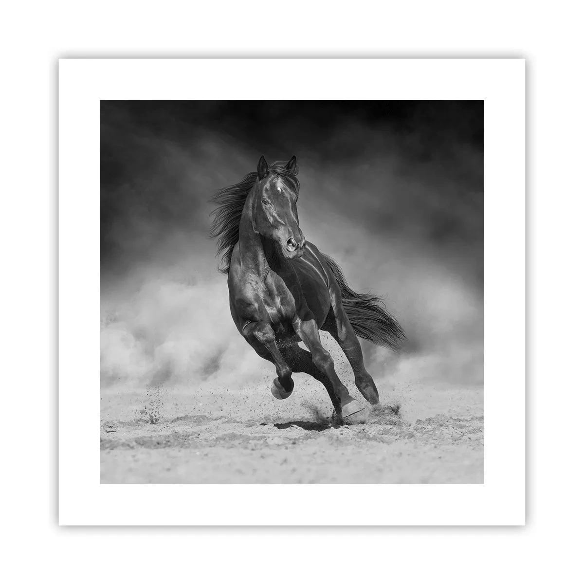 Affiche - Poster - Digne de l'émir lui-même - 40x40 cm