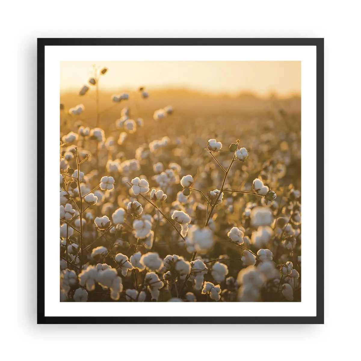 Affiche dans un cadre noir - Poster - Champ moelleux - 60x60 cm