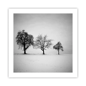 Affiche - Poster - A quoi rêvent-ils? - 50x50 cm