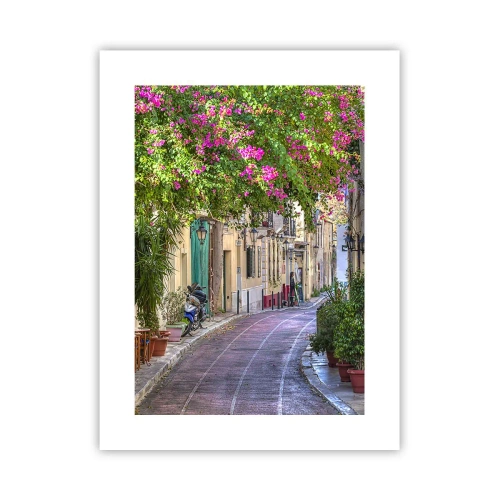 Affiche - Poster - Allée fleurie - 30x40 cm