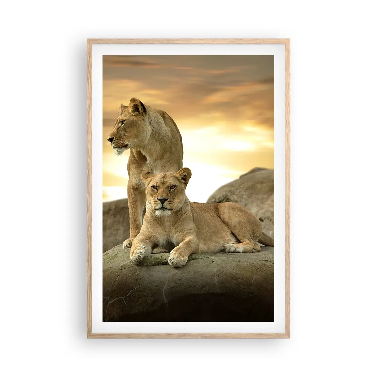 Affiche dans un chêne clair - Poster - Majesté royale - 61x91 cm