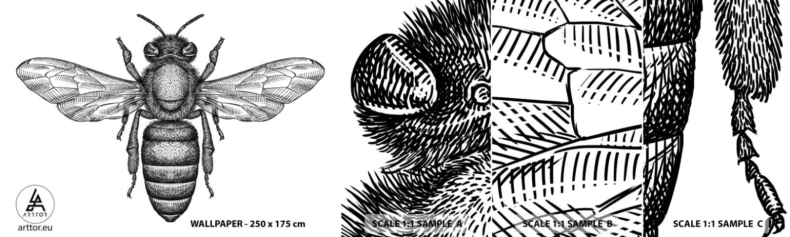 Échantillon De Papier Peint Standard Eco - Portrait d'insecte - Abeille, Insecte, Minimaliste - 100x30 cm