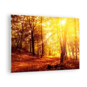 Impression sur verre - Image sur verre - Forêt d'automne illuminée par la chaude lueur du soleil - 70x50cm - Vers la clairière dorée - Décoration murale moderne pour le salon et la chambre ARTTOR