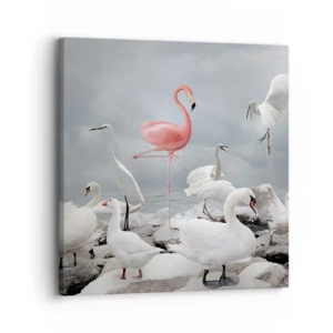 Impression sur toile - Image sur toile - Comment suis-je arrivé là? - 30x30 cm