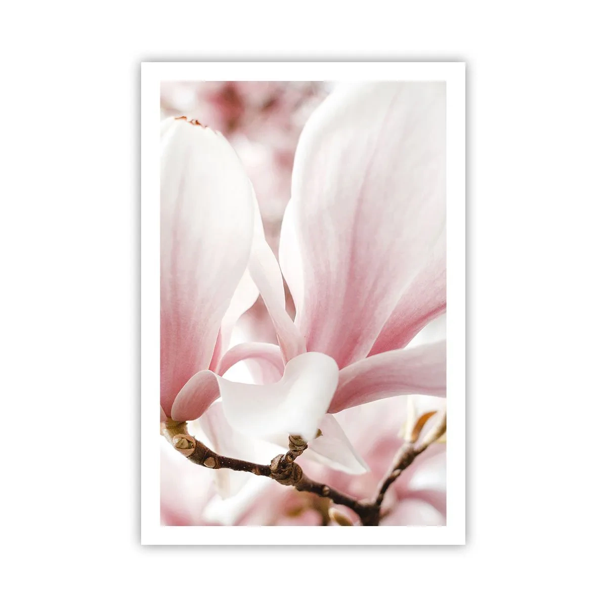 Affiche - Poster - Abondance de tendresse - 61x91 cm