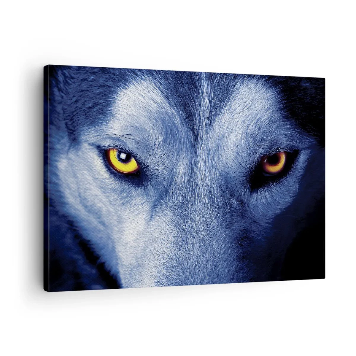 Impression sur toile - Image sur toile - Gros plan du regard intense d'un loup sur un fond sombre - 70x50cm - Regars hypnotique - Décoration murale moderne pour le salon et la chambre ARTTOR