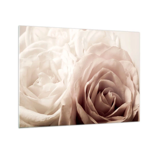 Impression sur verre - Image sur verre - De délicates roses légères dans un gros plan romantique - 70x50cm - Au coeur d'ue la rose - Décoration murale moderne pour le salon et la chambre ARTTOR