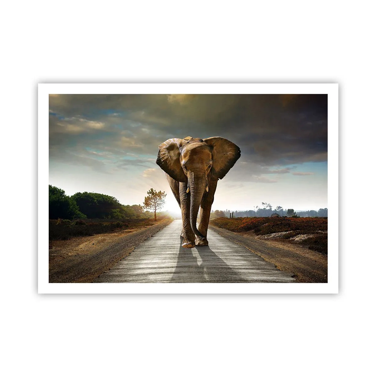 Affiche - Poster - Un éléphant marchant le long d'une route à travers un paysage au coucher du soleil - 100x70cm - Et pas du tout en porcelaine - Décoration murale moderne pour le salon et la chambre ARTTOR