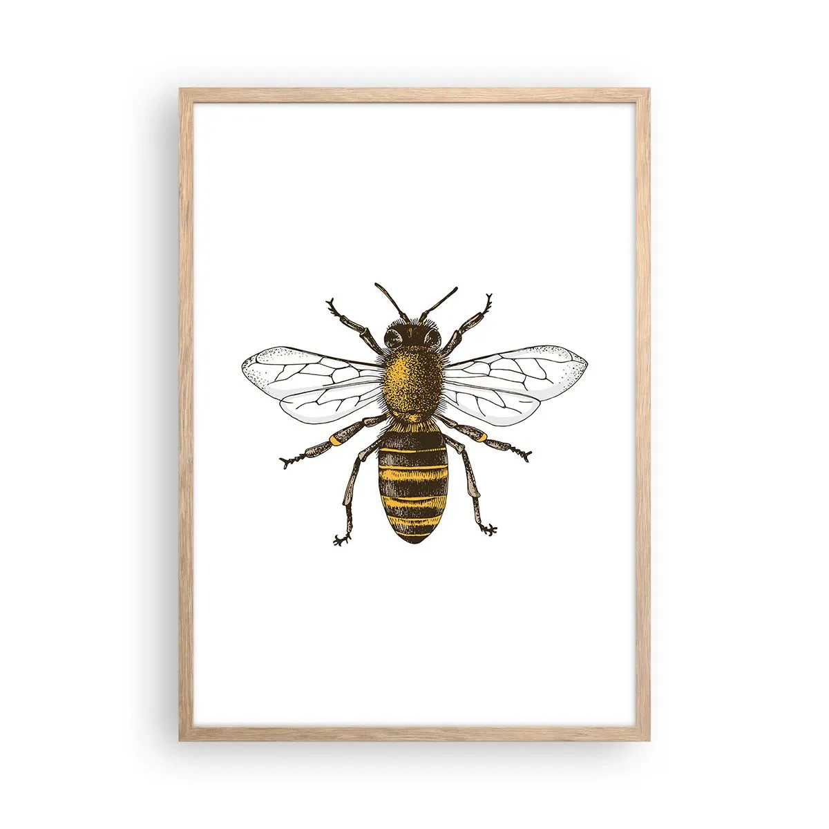 Affiche dans un chêne clair - Poster - Belle et bonne - 50x70 cm