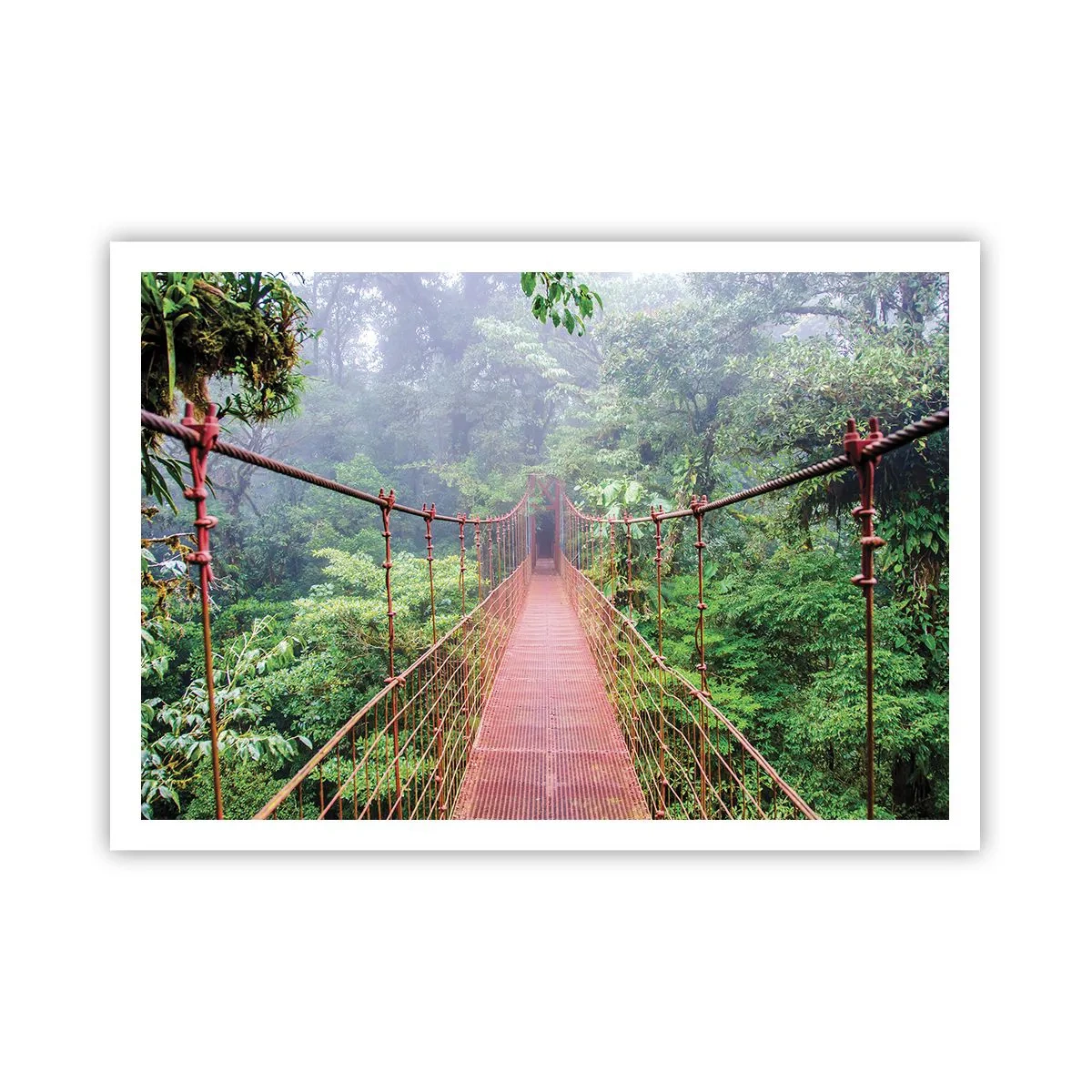 Affiche - Poster - Un pont suspendu dans une jungle tropicale entourée de brouillard - 100x70cm - Suspendu sur les couronnes - Décoration murale moderne pour le salon et la chambre ARTTOR