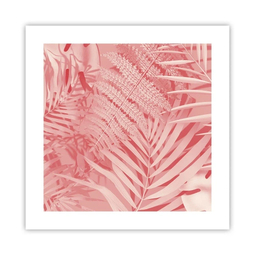 Affiche - Poster - Concept de rose - 40x40 cm