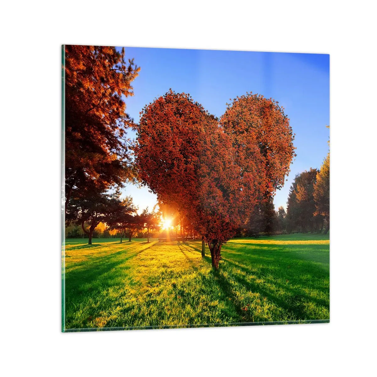 Impression sur verre - Image sur verre - Et comment ne pas aimer tomber - 60x60 cm