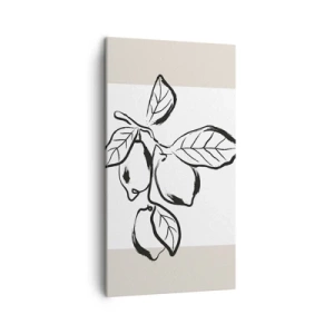 Impression sur toile - Image sur toile - Où mûrit le citron… - 45x80 cm