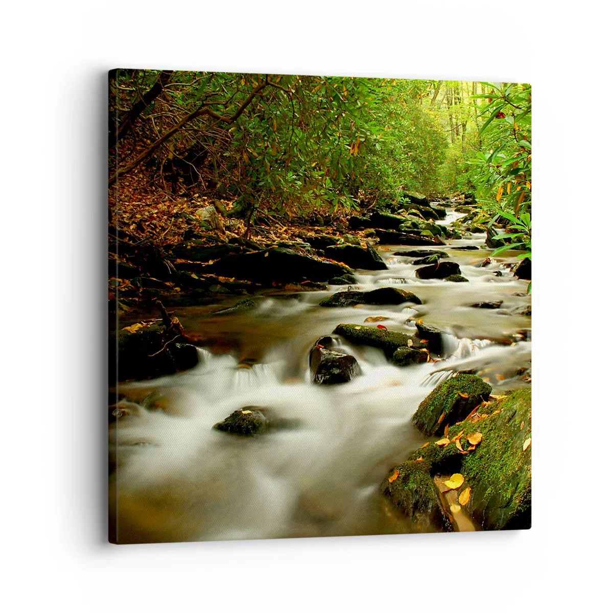 Impression sur toile - Image sur toile - Comme de l'argent liquide - 30x30 cm