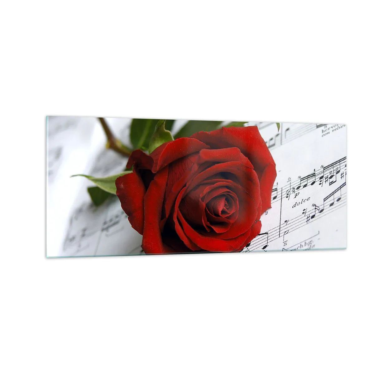 Impression sur verre - Image sur verre - Musique des sentiments en écarlate - 100x40 cm