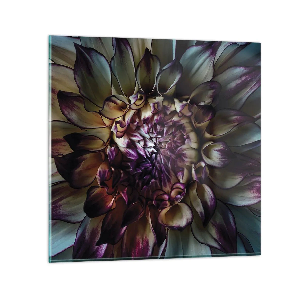 Impression sur verre - Image sur verre - L'apogée de la jeunesse - 70x70 cm