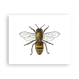 Affiche - Poster - Belle et bonne - 50x40 cm