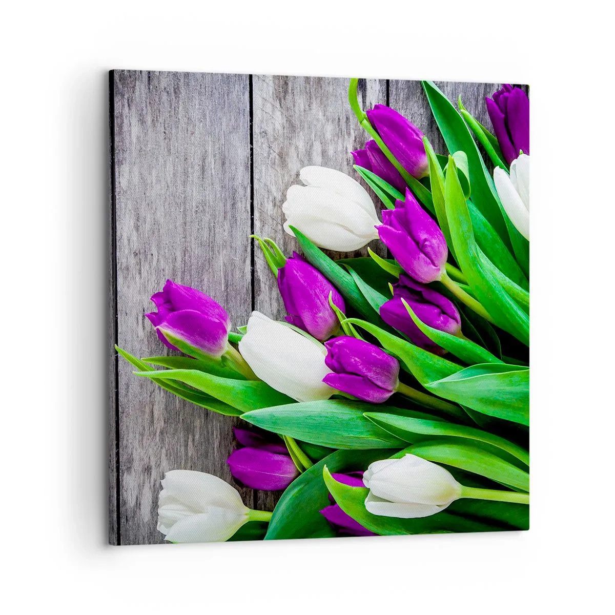 Impression sur toile - Image sur toile - Le jour des vacances de printemps - 50x50 cm