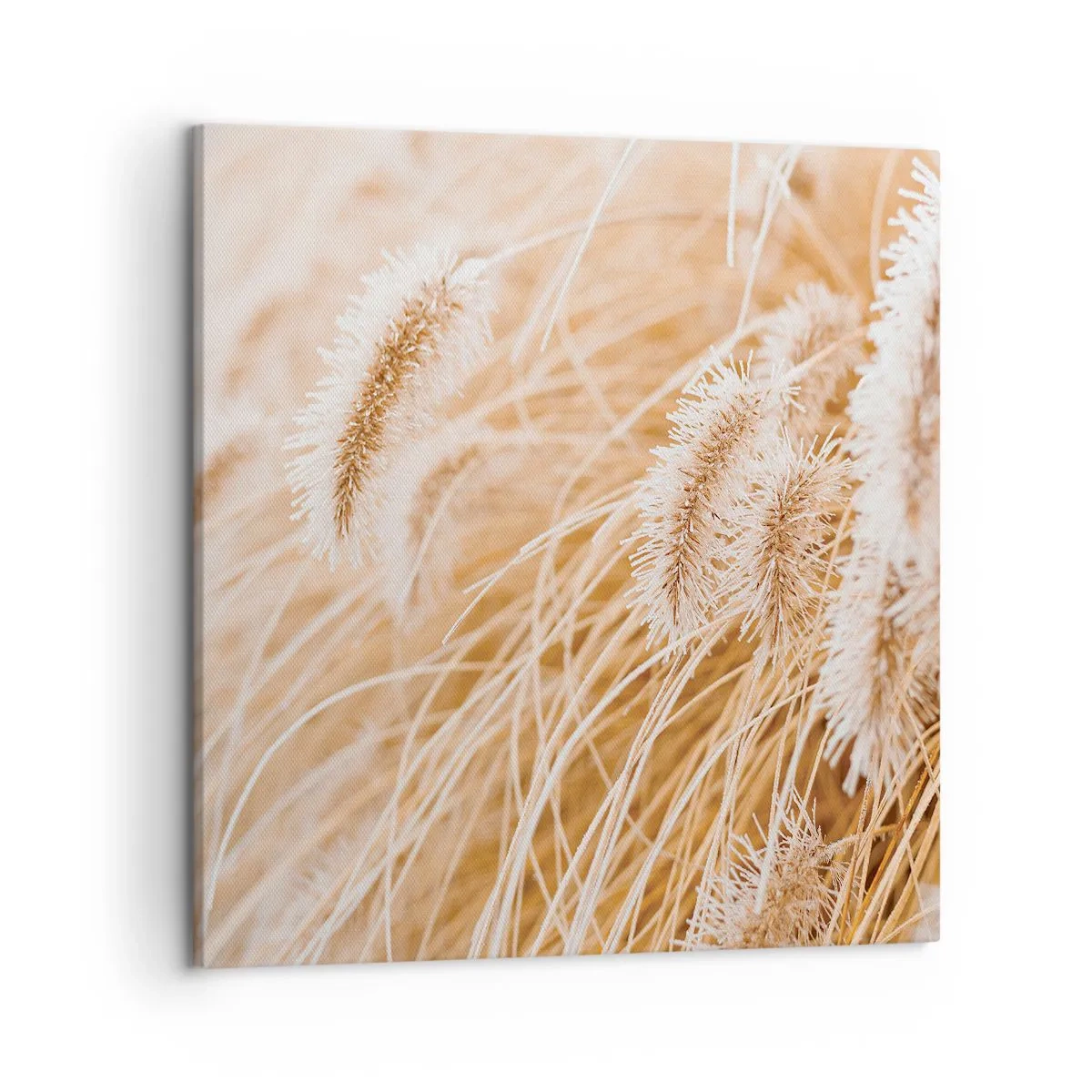 Impression sur toile - Image sur toile - Le bruissement doré de l'herbe - 50x50 cm