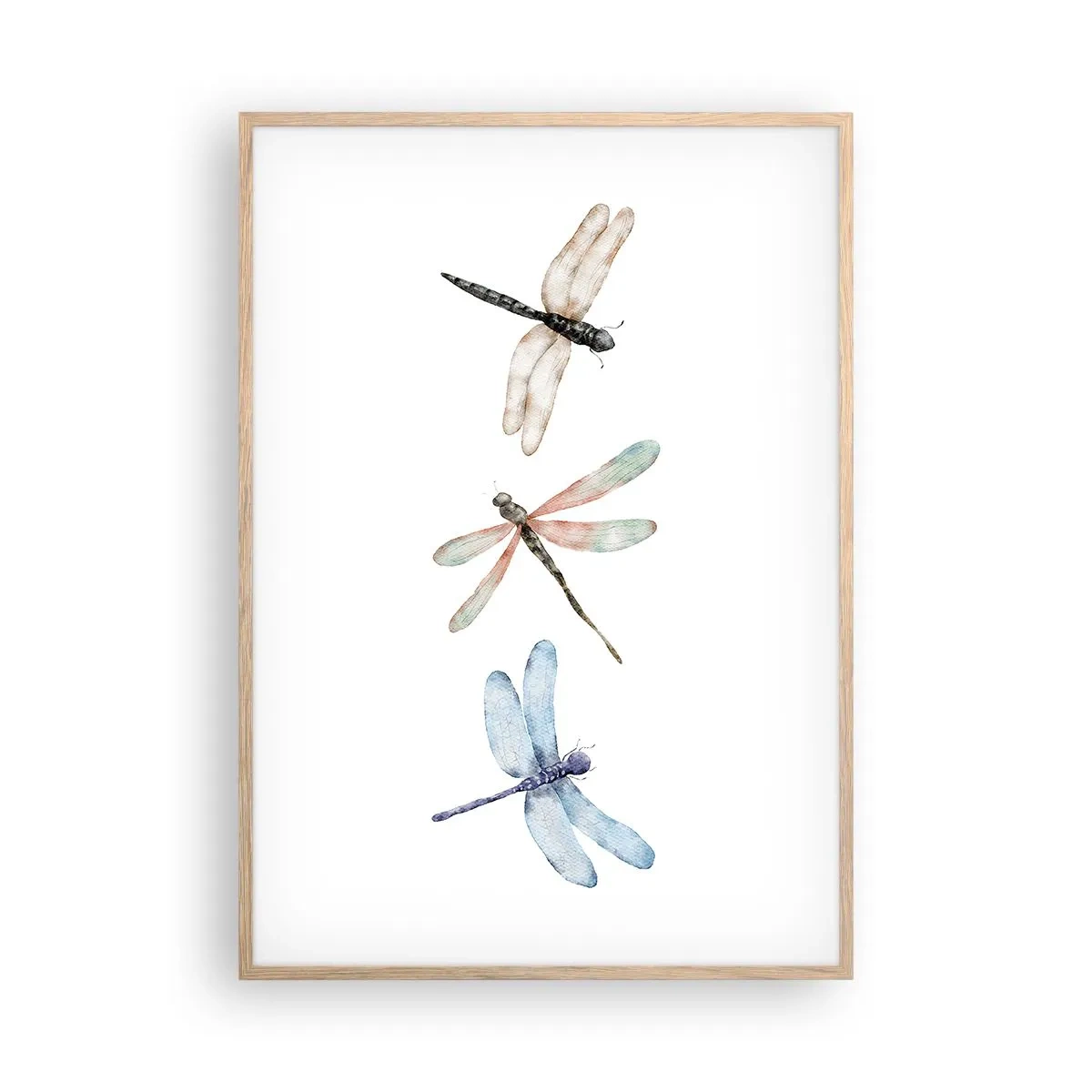 Affiche dans un chêne clair - Poster - Libellules en apesanteur - 70x100 cm